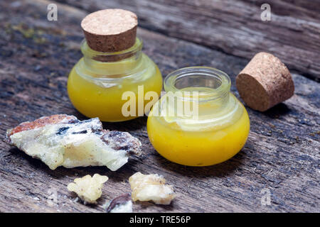 self-made ointment from spruce resin, olive oil and bee wax, Germany Stock Photo
