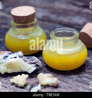 self-made ointment from spruce resin, olive oil and bee wax, Germany Stock Photo