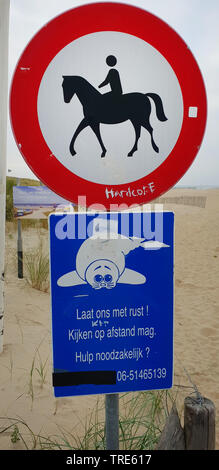 sign on the beach of the North Sea, riding prohibited, don't annoy the seals, Netherlands Stock Photo
