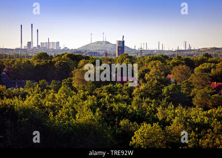 view across the green Ruhr area to Nordsternpark and stockpile Scholven, Germany, North Rhine-Westphalia, Ruhr Area, Gelsenkirchen Stock Photo