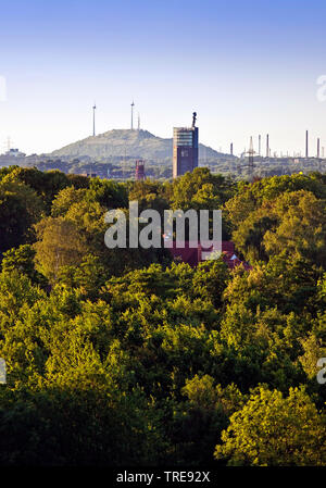 view across the green Ruhr area to Nordsternpark and stockpile Scholven, Germany, North Rhine-Westphalia, Ruhr Area, Gelsenkirchen Stock Photo