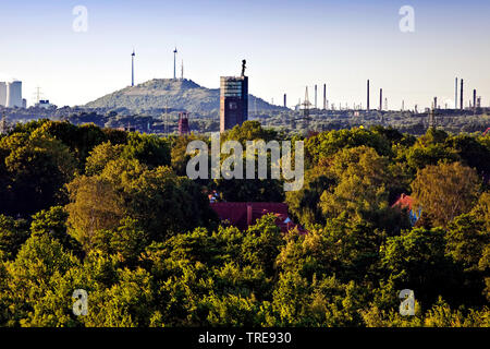 view across the green Ruhr area to Nordsternpark and stockpile Scholven, Germany, North Rhine-Westphalia, Ruhr Area, Gelsenkirchen Stock Photo