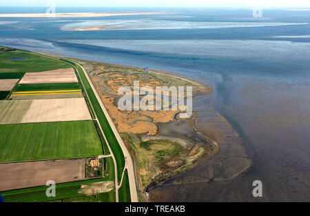 De Schorren on Texel, aerial view, Netherlands, Texel Stock Photo