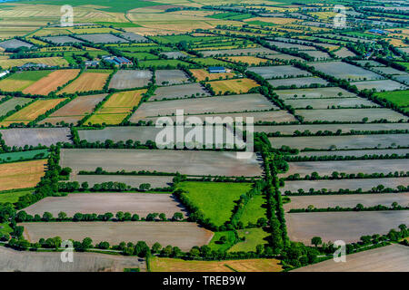 hedge landscape in Husumer Geest, Germany, Schleswig-Holstein, Northern Frisia Stock Photo