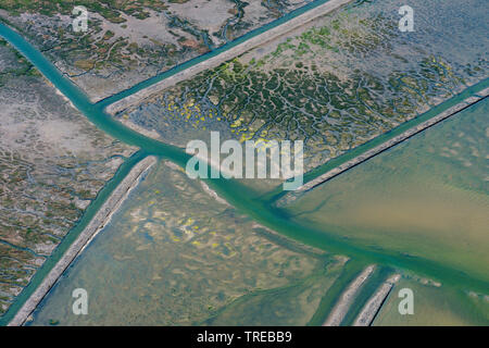 aerial view of land reclamation with ditches and reinforcements in the wadden sea of Pellworm, Germany, Schleswig-Holstein Stock Photo