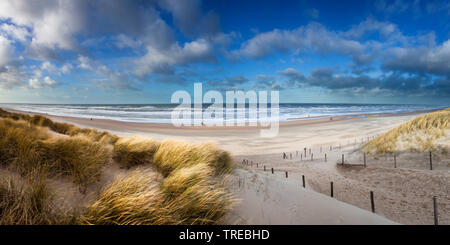 Sea view from Dutch dunes, Netherlands, South Holland, Lopikerwaard Stock Photo