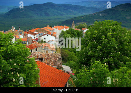 village Motovun, Croatia, Istria, Motovun Stock Photo