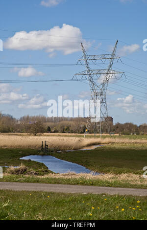 Electricity mast on a field, Netherlands, Northern Netherlands, Durgerdam Stock Photo