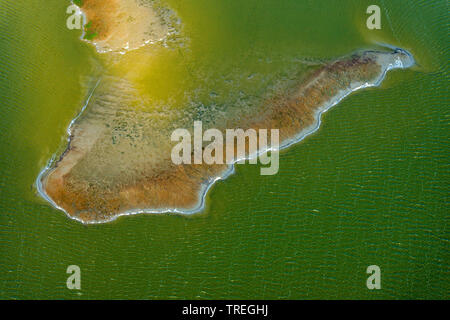 Luettmoorsee am Koog, aerial picture, Germany, Schleswig-Holstein, Schleswig-Holstein Wadden Sea National Park, Nordfriesisches Wattenmeer Stock Photo