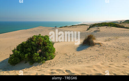 dunes at Morukuru, South Africa, De Hoop Nature Reserve Stock Photo