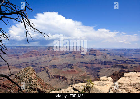 Grand Canyon, USA, Arizona, Grand Canyon National Park Stock Photo