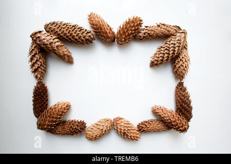 Conifer cones rectangular frame composition isolated on white background Stock Photo