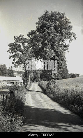 1950s, historical, daytime and a view along a country lane in Surrey countryside, England, UK. Stock Photo