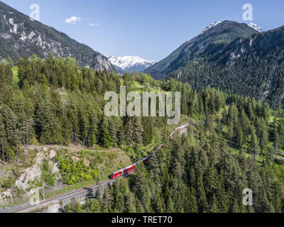 Bernina Express on the railway in a forest, aerial view. Unesco World Heritage Stock Photo