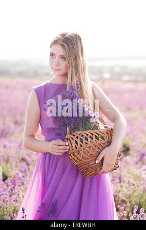 Beautiful blonde girl 14-16 year old holding basket with lavender flowers in field. Wearing purple dress posing outdoors. Stock Photo