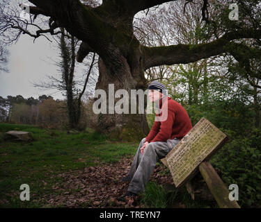 An older man sits on a bench in front of the Oak of Breslon Stock Photo