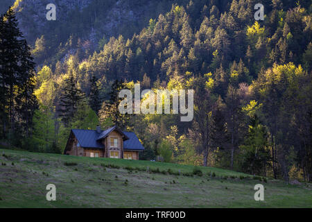 Summer house in shadow, Logarska Dolina, Slovenia. Sunset light illuminates green and yellow trees on steep slopes of hills in background. Calm rural Stock Photo