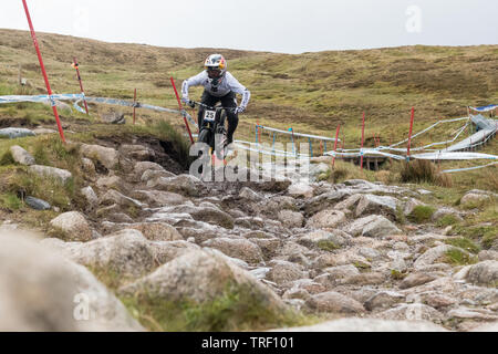 Finn Iles crash sequence during practice run - UCI Mountain Bike World Cup at Fort William, Scotland - series of 13 images  image 1/13 Stock Photo