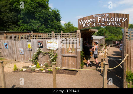 Entrance door gate / entry to the Haven Falconry Bird of Prey Centre. Havenstreet, Haven Street, Isle of Wight. England UK (99) Stock Photo