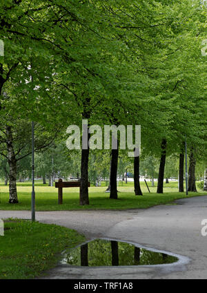 A small pool after rain shower on a walkway reflecting tree trunks on a cloudy day Stock Photo