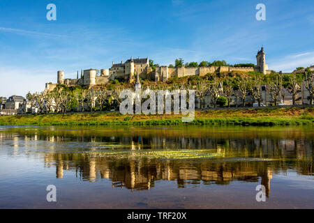 The river Vienne and the Royal Fortress of Chinon, indre et Loire department, Centre Val de loire, France, Europe
