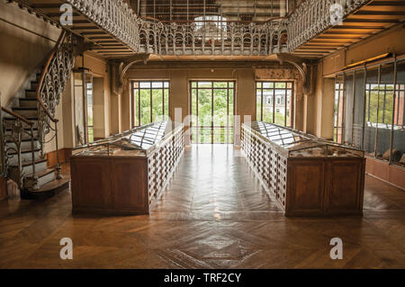 Cabinets and fossil display at Gallery of Paleontology and Comparative Anatomy in Paris. One of the most impressive world’s cultural center in France. Stock Photo