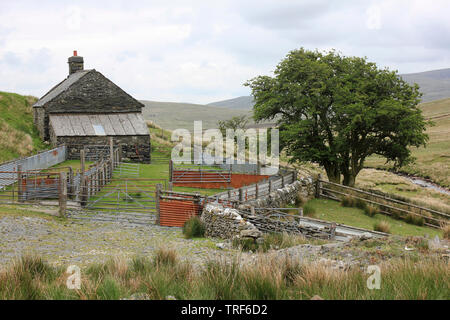 Remote Farmhouse with Sheep Pens on the Migneint Moors, nr Ysbyty Ifan ...