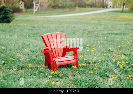 One red wooden plastic muskoka Adirondack chair standing on green grass among yellow dandelion flowers in park outside on spring summer day. Concept o Stock Photo