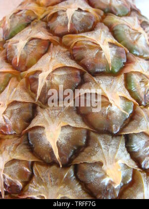 Detail pineapple close-up. Abstract photo: Pineapple Texture background. Exotic fruit close-up. Ripe fruit peel macro photo for design. Skin surface. Stock Photo