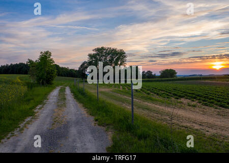 sunset over a field - dramatic sky Stock Photo