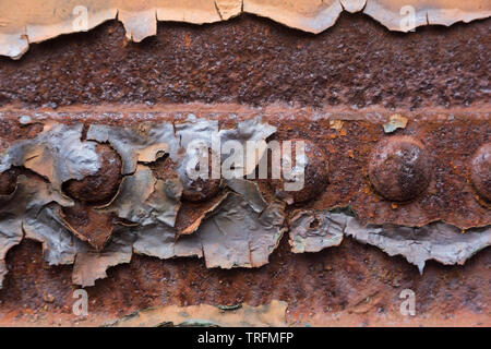 Close-up of rivets and peeling paint on heavily rusted steel sheet metal on side of railway train goods carriage at Didcot Railway Centre, Oxfordshire Stock Photo