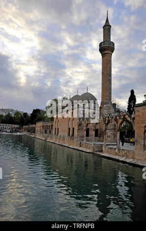 Pond of Abraham with Rizvaniye Mosque, Balıklıgöl pond and Rizvaniye Camii, Sanliurfa, Urfa, Turkey Stock Photo