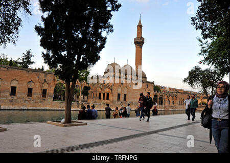 Pond of Abraham with Rizvaniye Mosque, Balıklıgöl pond and Rizvaniye Camii, Sanliurfa, Urfa, Turkey Stock Photo