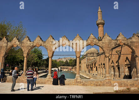 Pond of Abraham with Rizvaniye Mosque, Balıklıgöl pond and Rizvaniye Camii, Sanliurfa, Urfa, Turkey Stock Photo