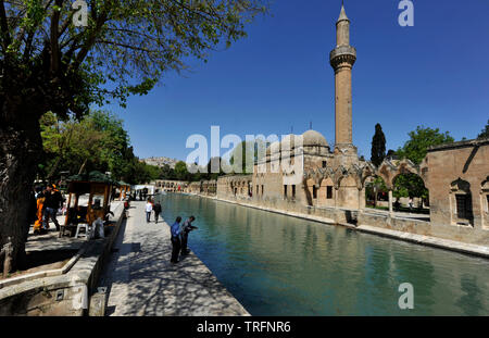 Men fishing in Pond of Abraham with Rizvaniye Mosque, Balıklıgöl pond and Rizvaniye Camii, Sanliurfa, Urfa, Turkey Stock Photo