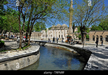 Pond of Abraham with Rizvaniye Mosque, Balıklıgöl pond and Rizvaniye Camii, Sanliurfa, Urfa, Turkey Stock Photo