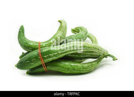 Snake gourd isolated on white background  / Trichosanthes anguina Stock Photo