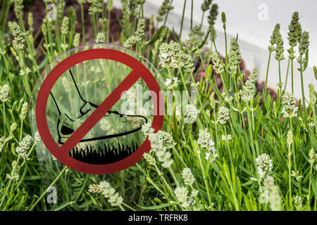 sign forbidden to step on the grass Stock Photo