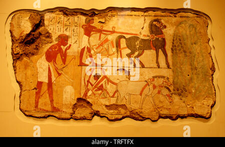 Marsh hunting scene, Egyptian Nebamun tomb chapel 1350 BC at British Museum Stock Photo