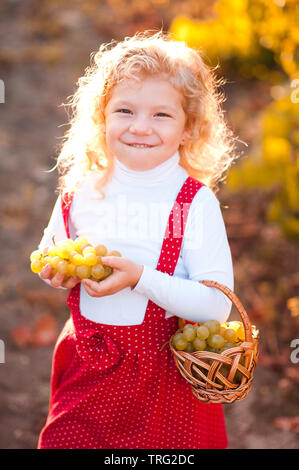 Smiling kid girl 4-5 year old holding basket of grapes outdoors. Looking at camera. harvesting season. Stock Photo