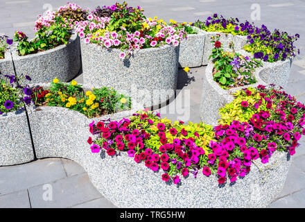 Granite decorative flower bed with different flowers on city street. Colorful flowers decorative composition in sunny day Stock Photo