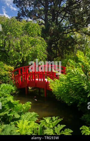 The small red wooden footbridge of the Bayonne botanical garden (France). This ornamental garden has been laid out according to a Japanese model. Stock Photo