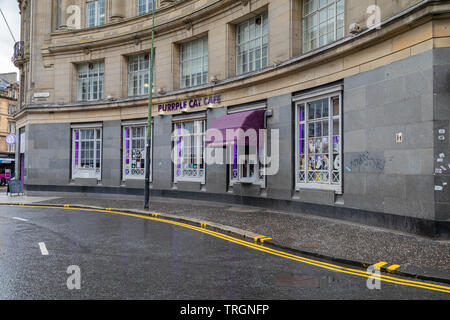 The Purrple Cat Cafe on Trongate Glasgow is an establishment where visitors can eat and drink whilst in the company of domestic cats Stock Photo