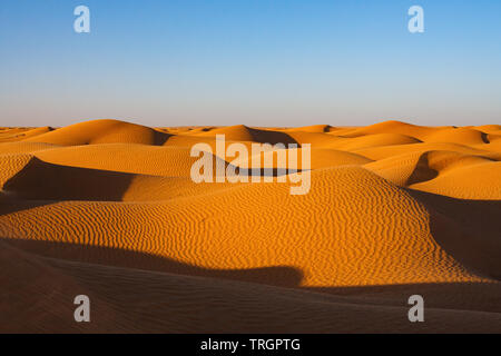 Sand dunes with a pattern of ripples in the evening under a bright blue sky. Sahara Desert, Tunisia, Africa. Copy space included. Stock Photo