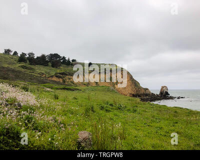 California Coastal Hiking Trail Filled With Grass, Wildflowers and Trees, Overlooking Rockaway Beach, Pacifica Stock Photo