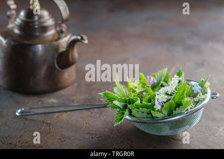 Medicinal herbs in tea infuser and vintage copper tea kettle. Herbal medicine. Copy space for text. Stock Photo