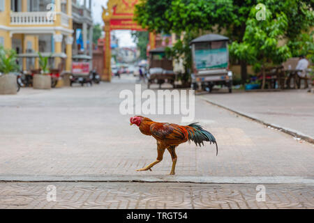 Phnom Penh, Cambodia, Indochina, Southeast Asia, Asia Stock Photo