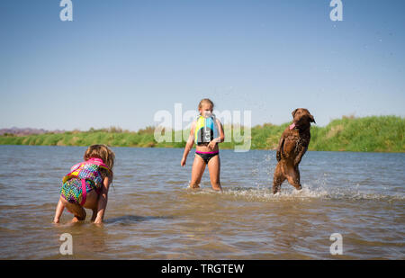 Dog playing with children in the water on a summer day. Stock Photo