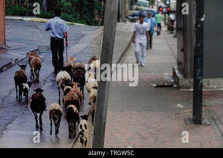 Caracas,Venezuela. People walking through the streets of the Colonial Caracas. Stock Photo