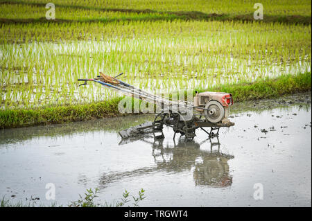 Walking Tractor on rice field for work plow farmland prepared for cultivation agricultural asian / Rice field planting in rainy season Stock Photo